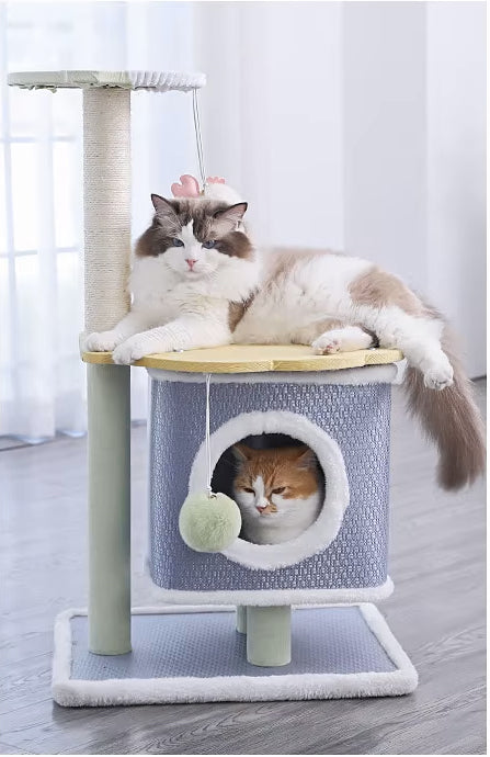 arbre à chat moderne bleu