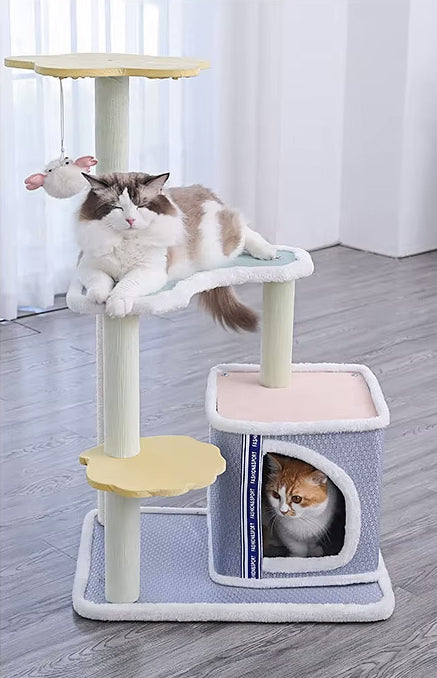 arbre à chat en bois bleu