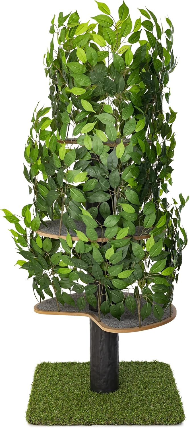 arbre à chat avec feuillage vert