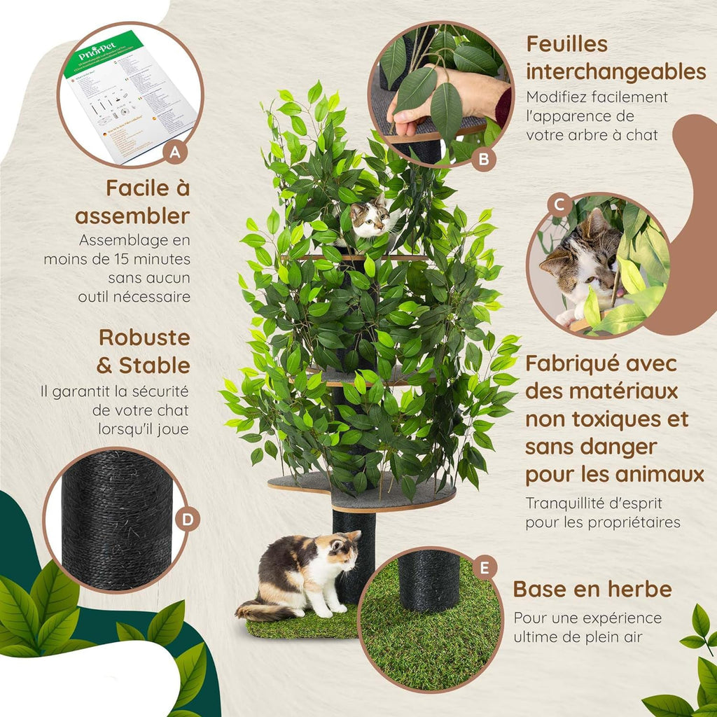 arbre à chat chic avec aire de repos
