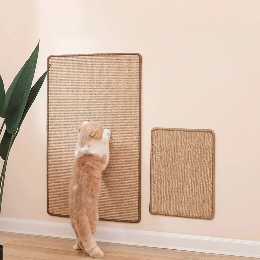 Griffoir pour chat protection meuble canapé DIY sisalguard