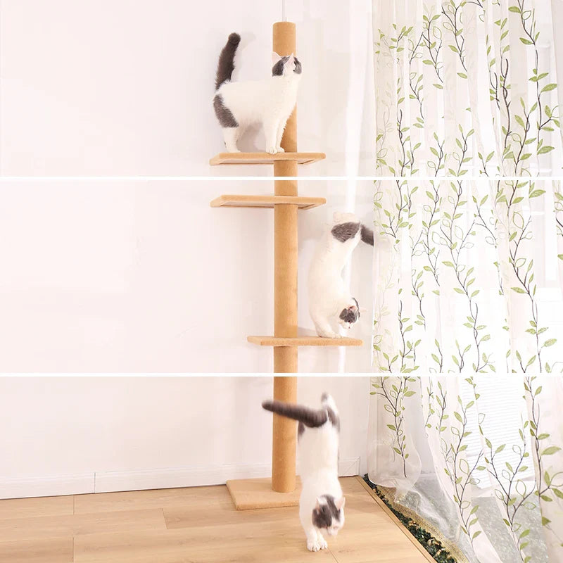 arbre à chat robuste pour chats