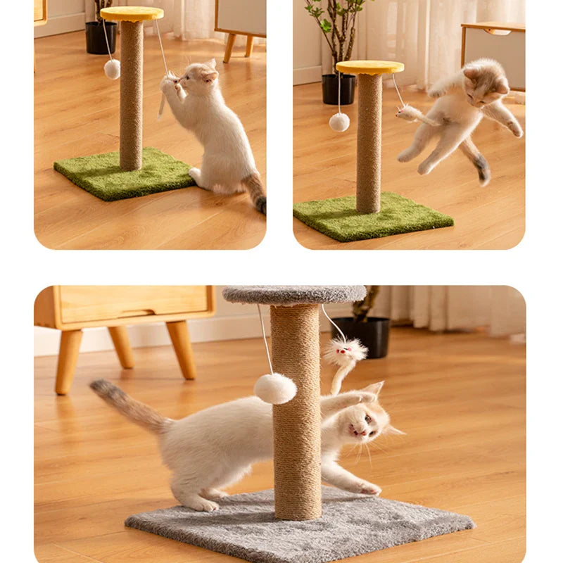 griffoir en sisal pour chat