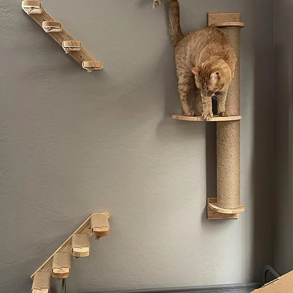 escalier de chat en bois
