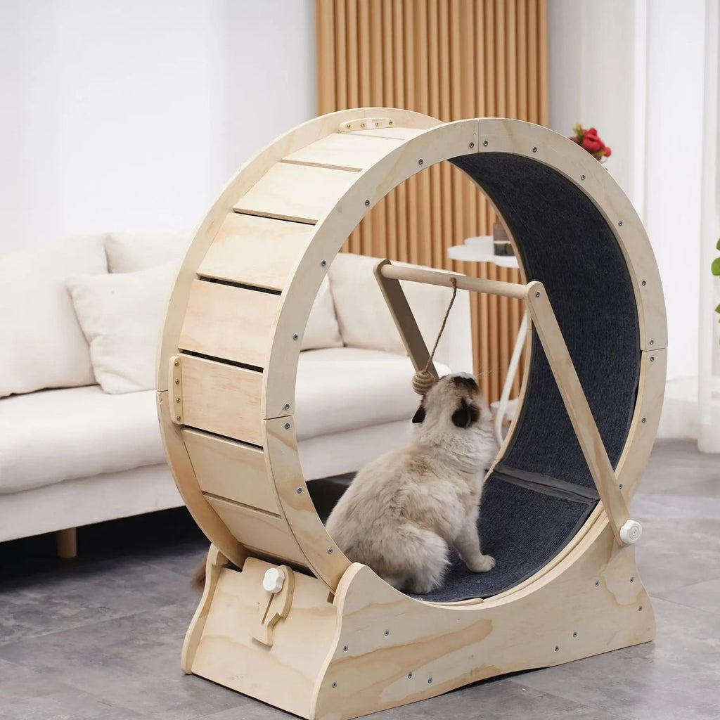 arbre à chat roue pour chat