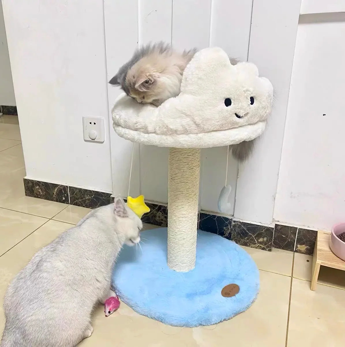 arbre à chat nuage confortable