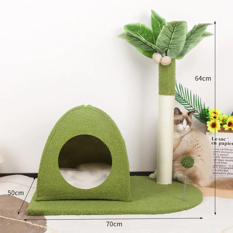 plage des chats arbre à chat