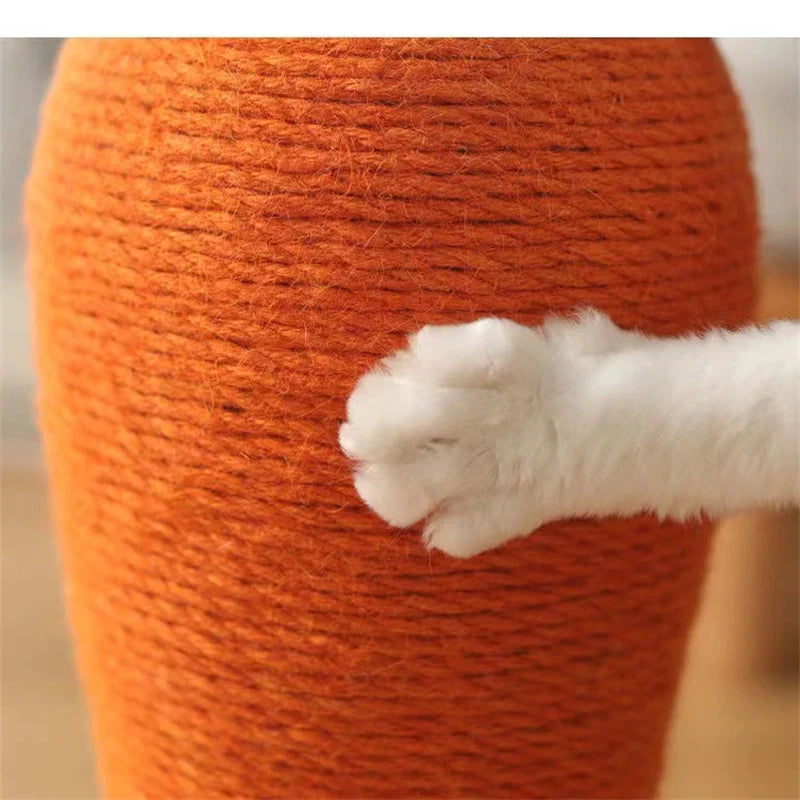 carrotcat arbre à chat