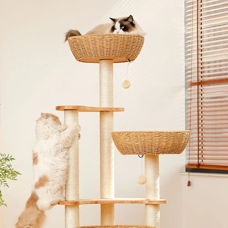 arbre à chat contemporain en bois