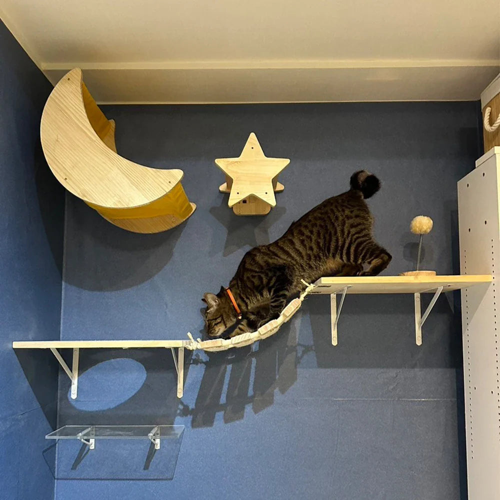 accessoires pour arbre à chat mural