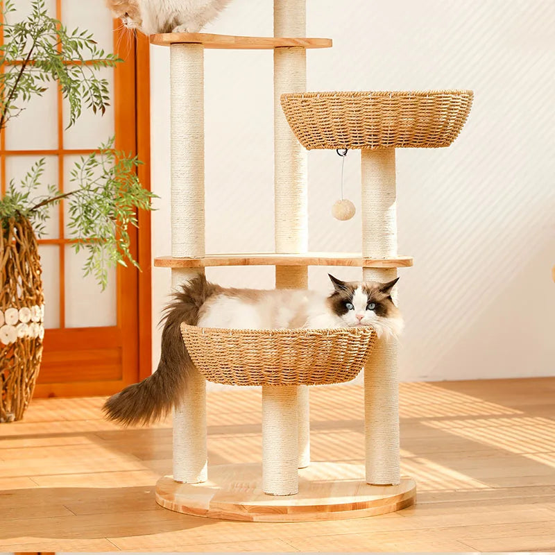 arbre à chat design en bois massif