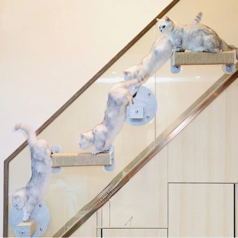 arbre à chat mural fenêtre vuemiaou