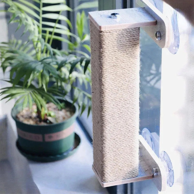 arbre à chat mural pour fenêtres