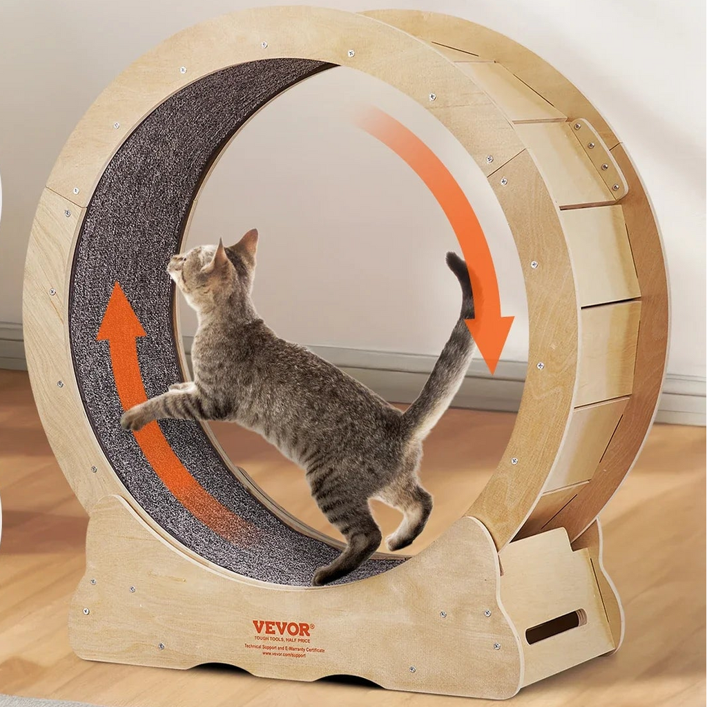 Roue À Chat Silencieuse - Bois - Speedycat