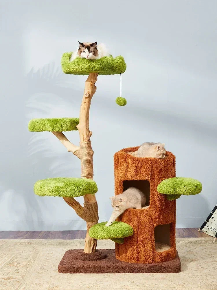 arbre à chat design