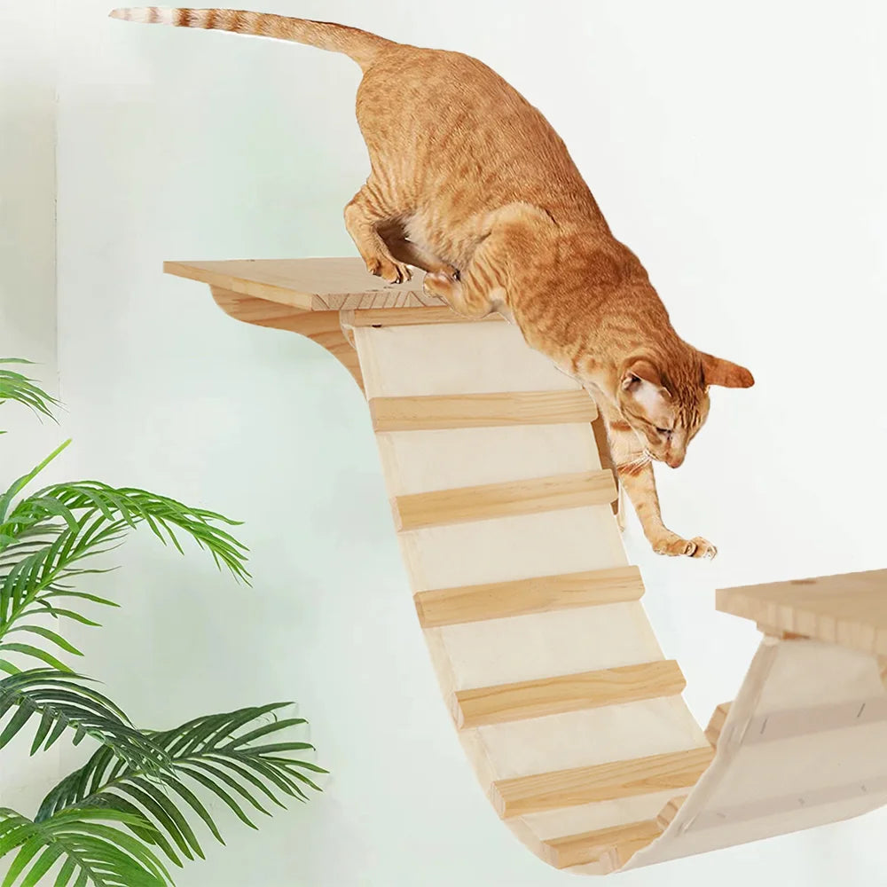 accessoire pour chat mural