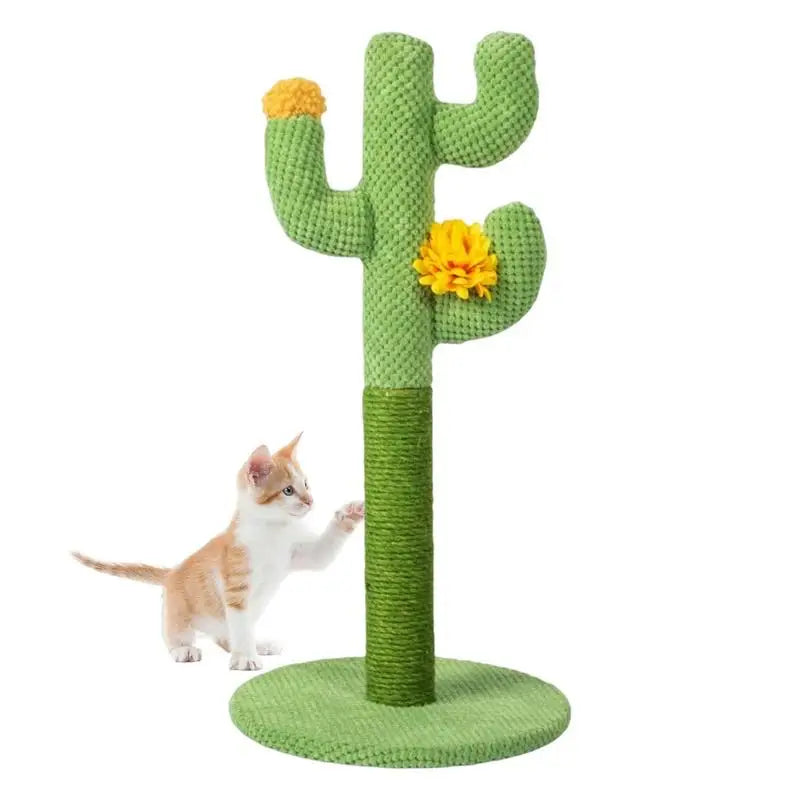 Arbre A Chat Cactus - Cactustigrou