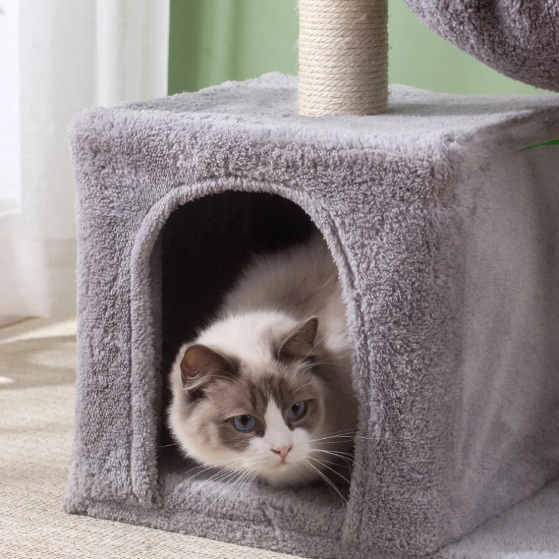 arbre a chat hamac minetopia