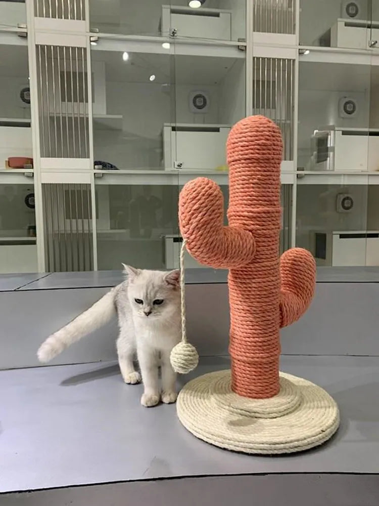 arbre à chat moderne cactus