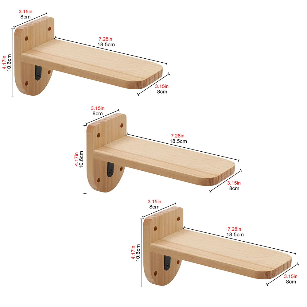 pont pour chat devant mural