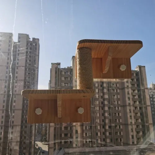 Arbre à chat - parcour