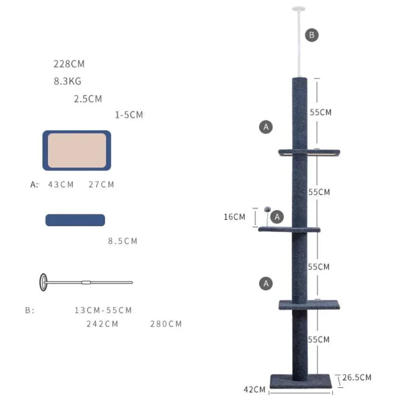 accessoire pour chat Maine Coon