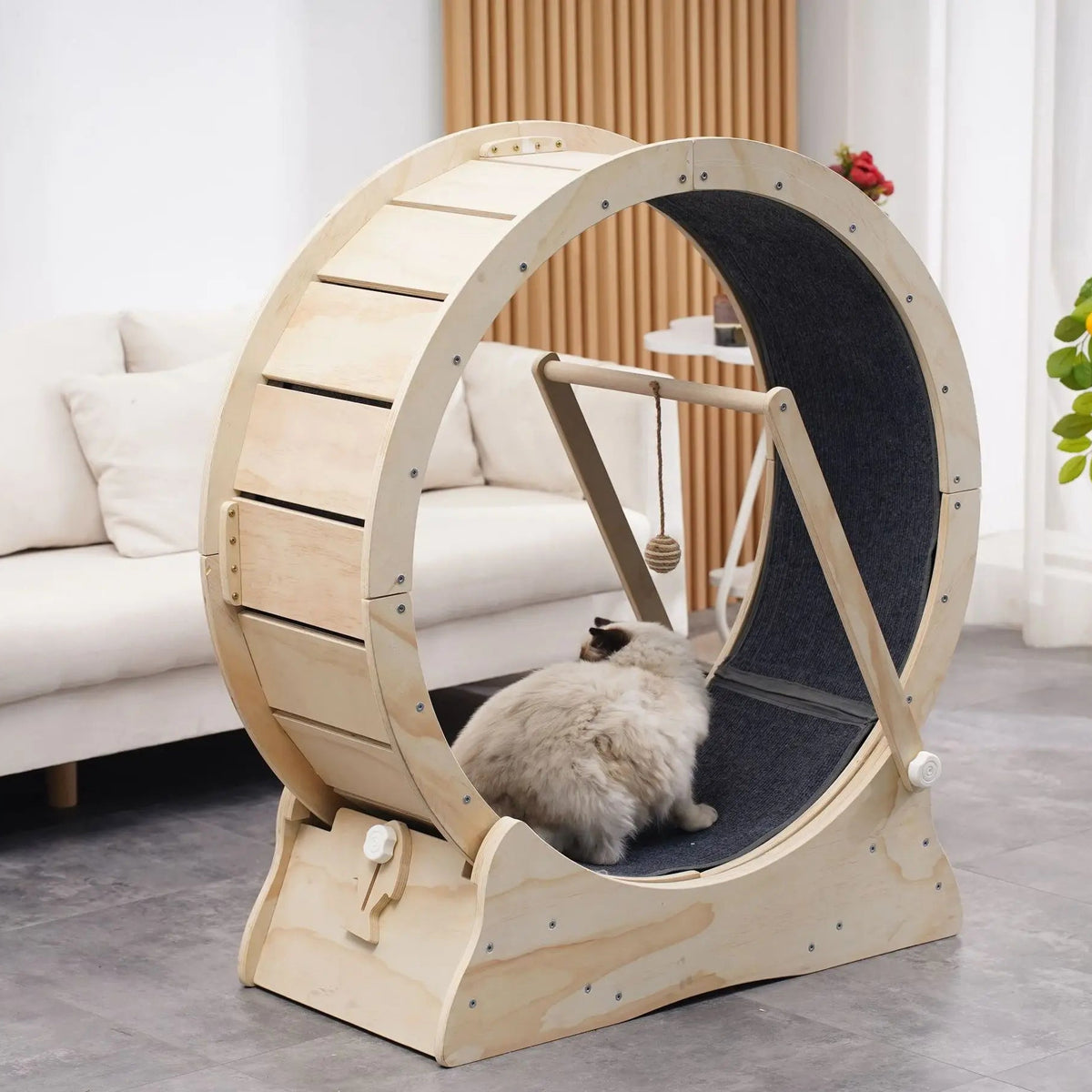 Arbre À Chat - Roue Pour Chat - Chatmster