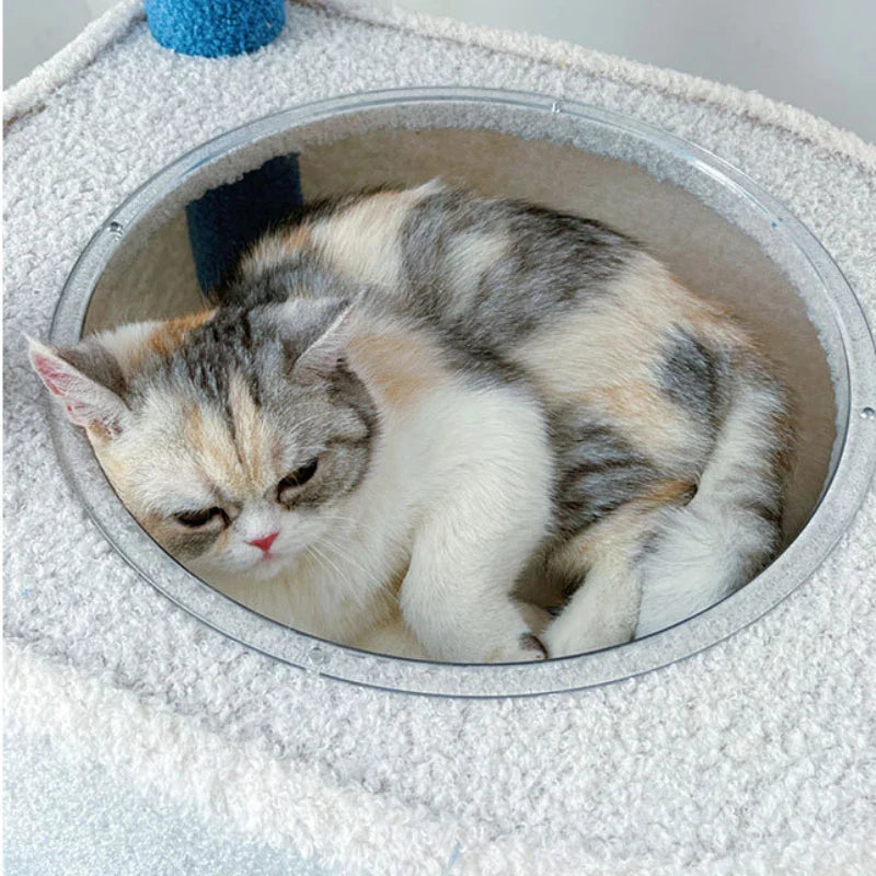 cabanon pour chat arbre à chat nuage