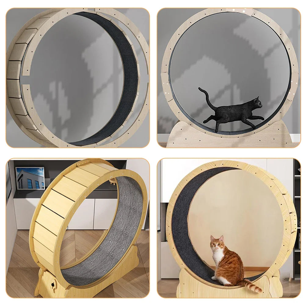 modèle flexigriff tapis de grattage