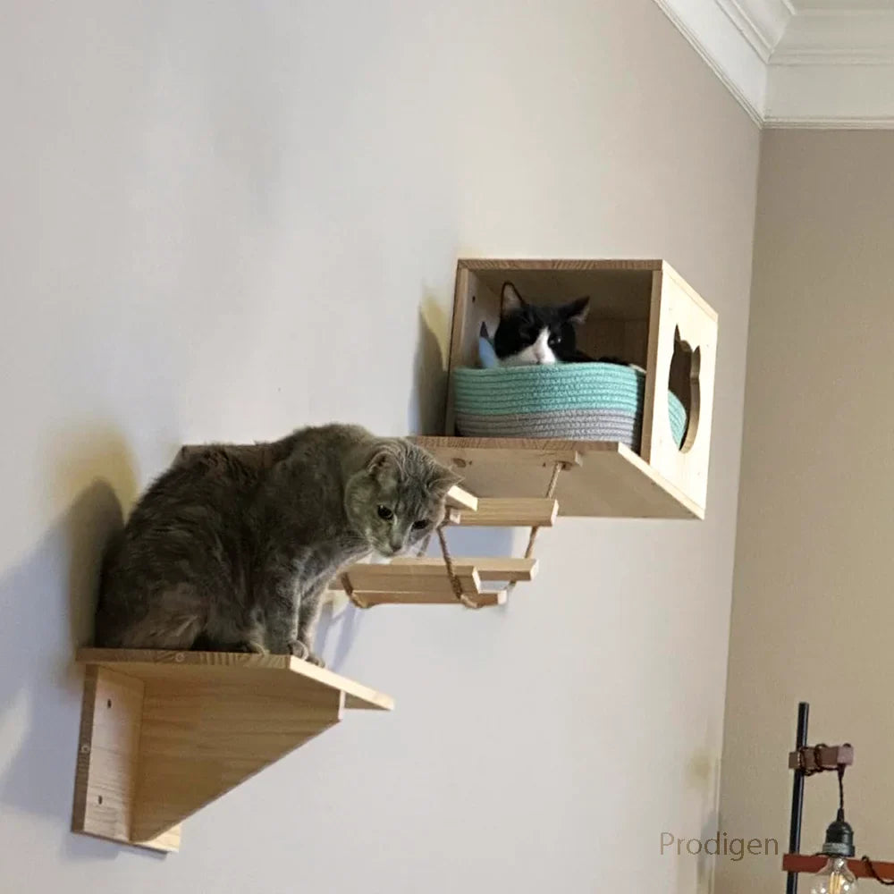 support design pour gamelles de chat