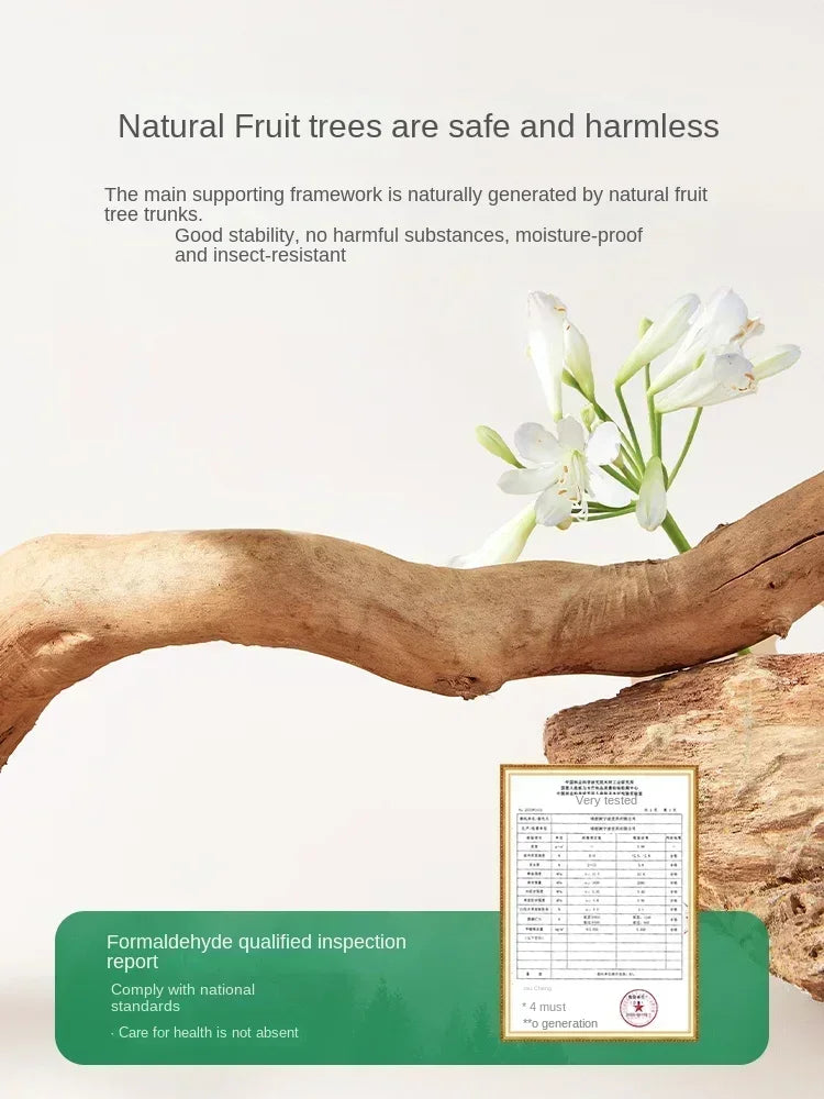 arbre à chat esthétique