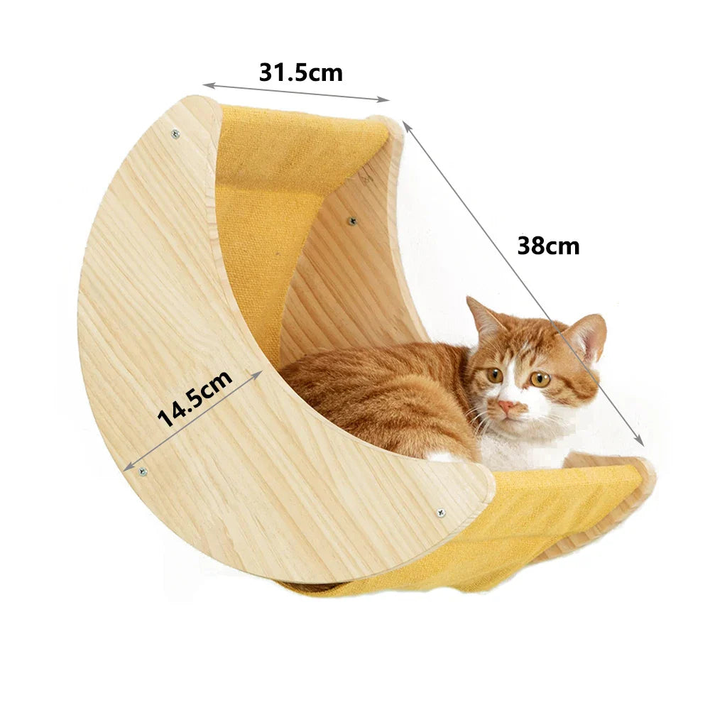 jouet suspendu pour chats