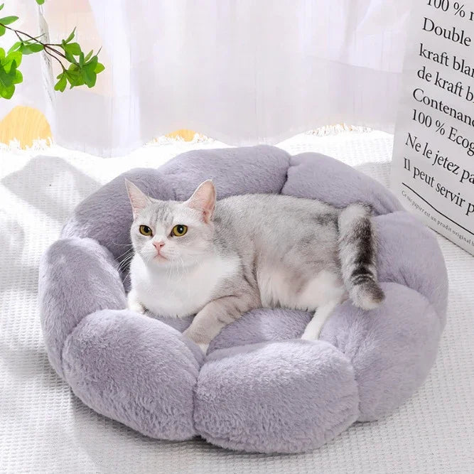panier confortable pour chat purrnest