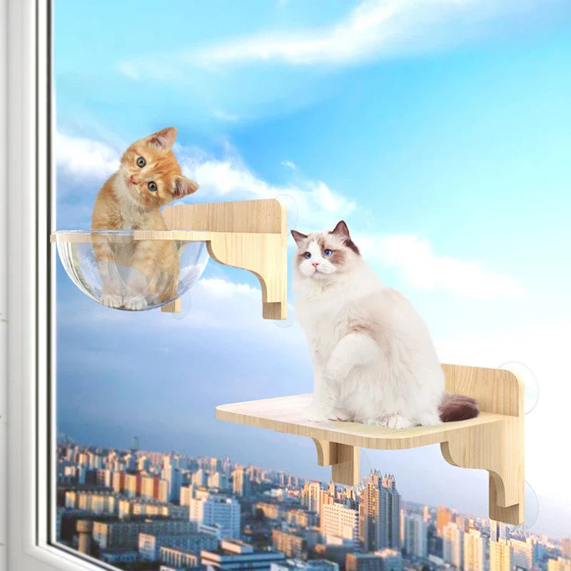 Étagères Murales Fenêtre Pour Chat Avec Ventouses - Modèle "skyview"