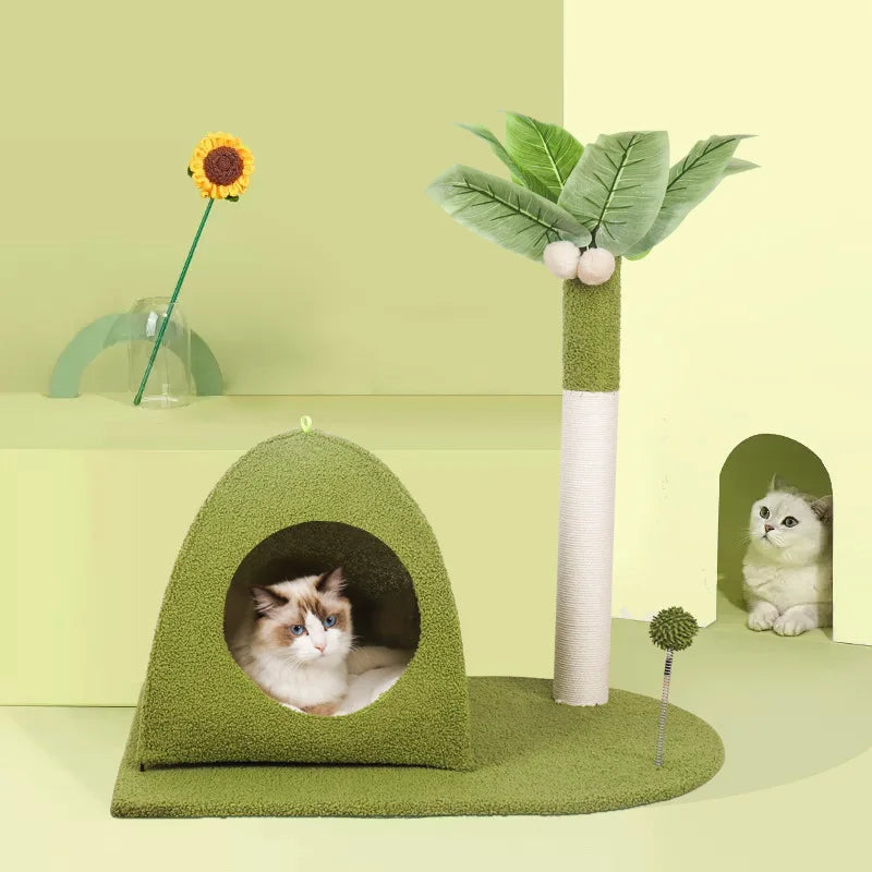 arbre à chat cocotier plage des chats