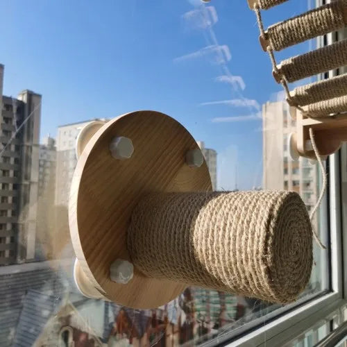 accessoire pour chat fenetre