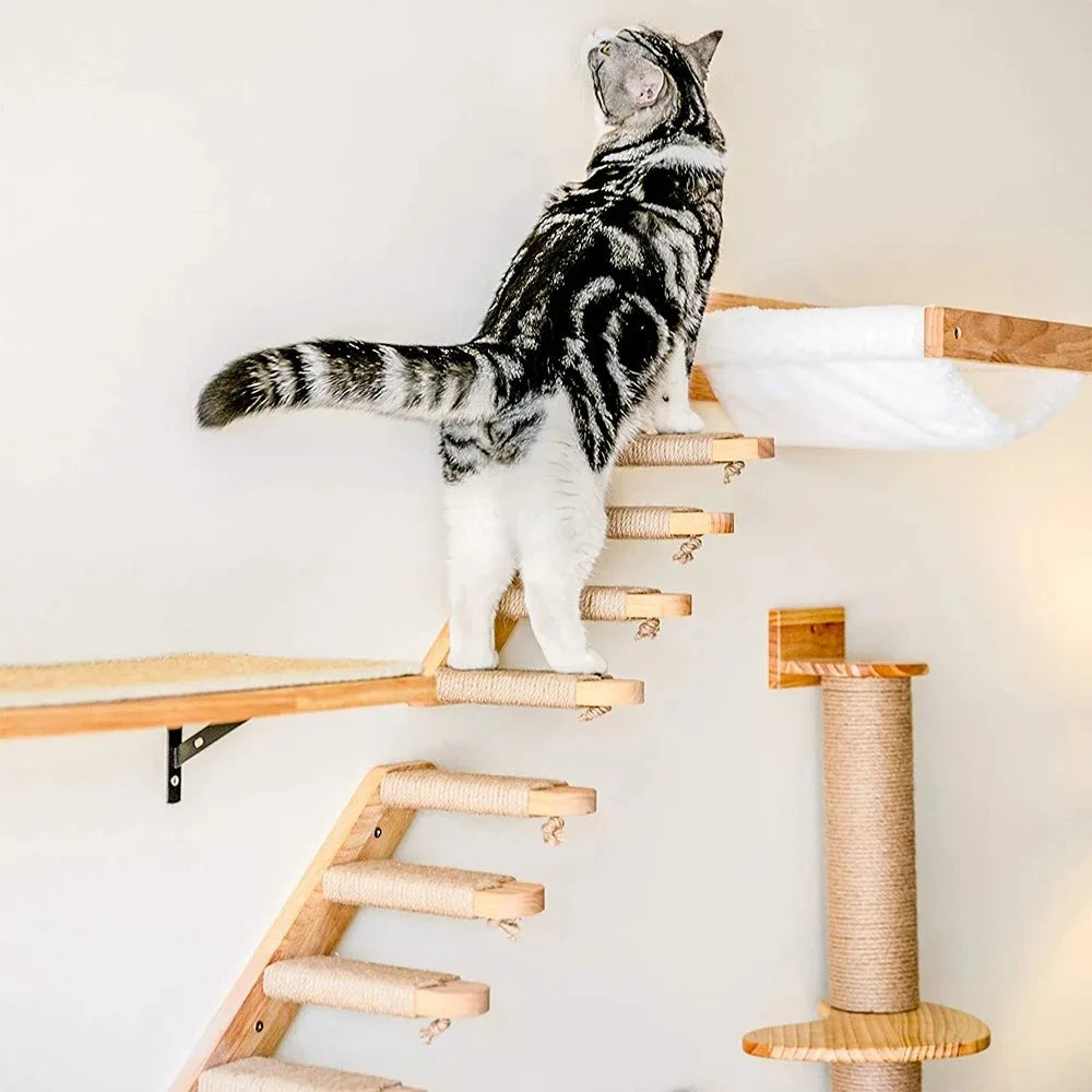 meuble mural pour chats