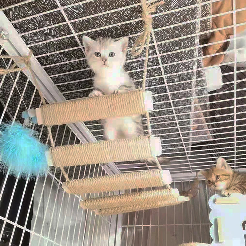 modèle acrobatix pont suspendu pour chats