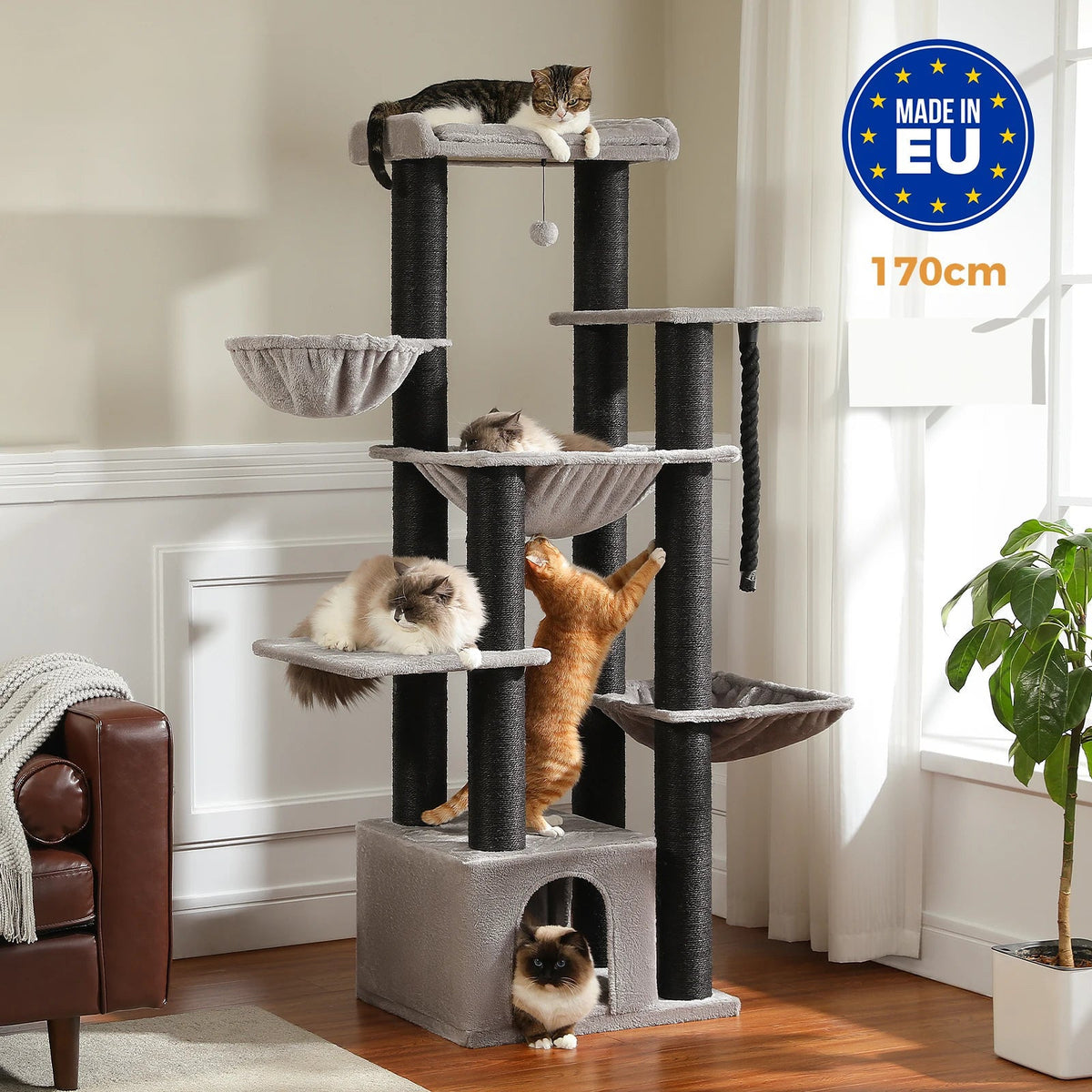 Arbre À Chat Maine Coon Pour Grands Chats - Modèle "maxiplaisir"