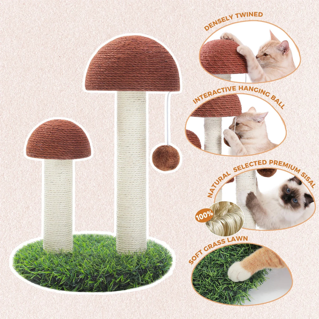 arbre à chat pas cher pour animaux champignon