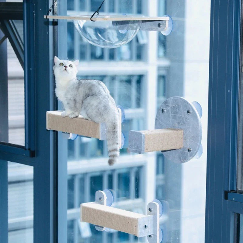 Arbre A Chat Mural - Fenêtre - Vuemiaou