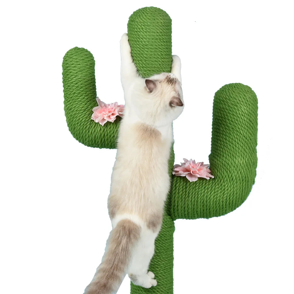 meuble pour chat cactus