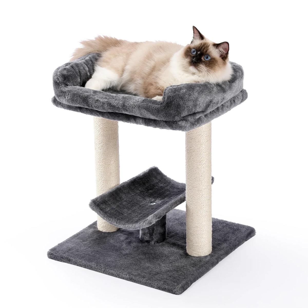 arbre à chat pour chatons gris