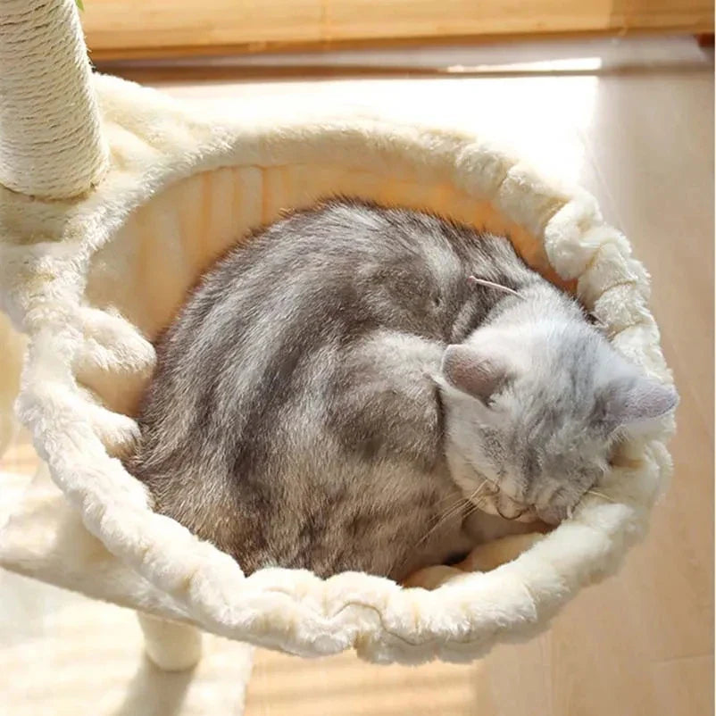 arbre à chat modèle châteaufélin