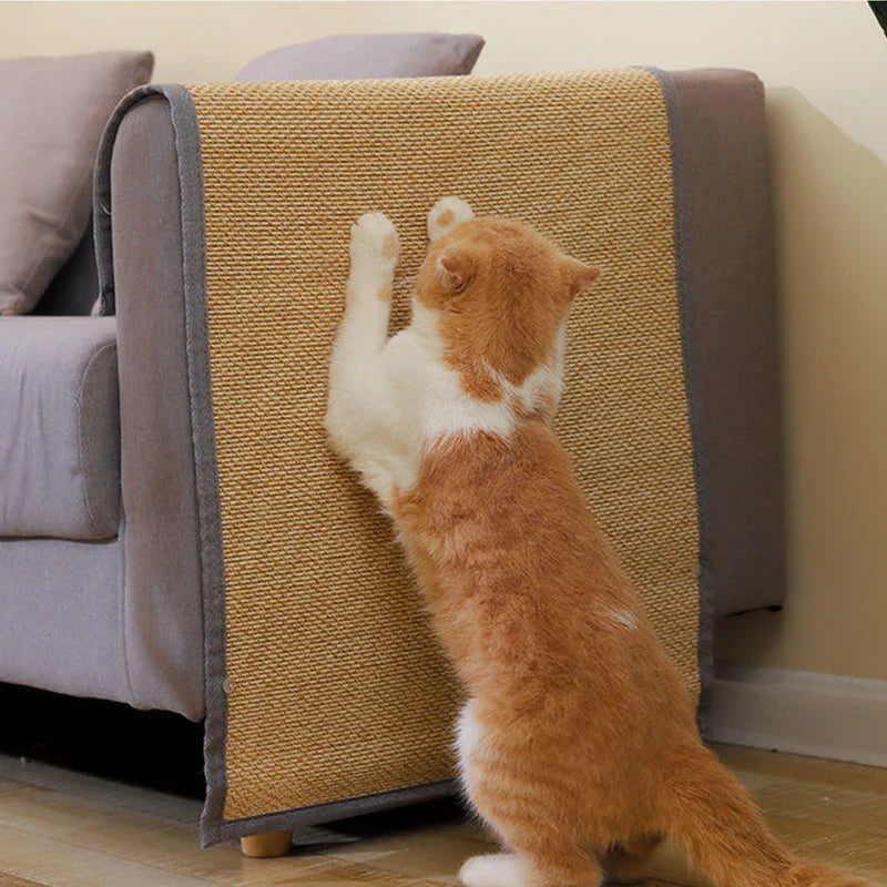 Griffoir Chat - Protection De Canapé Ou Meuble Chat