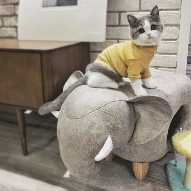 accessoire de décoration pour chats