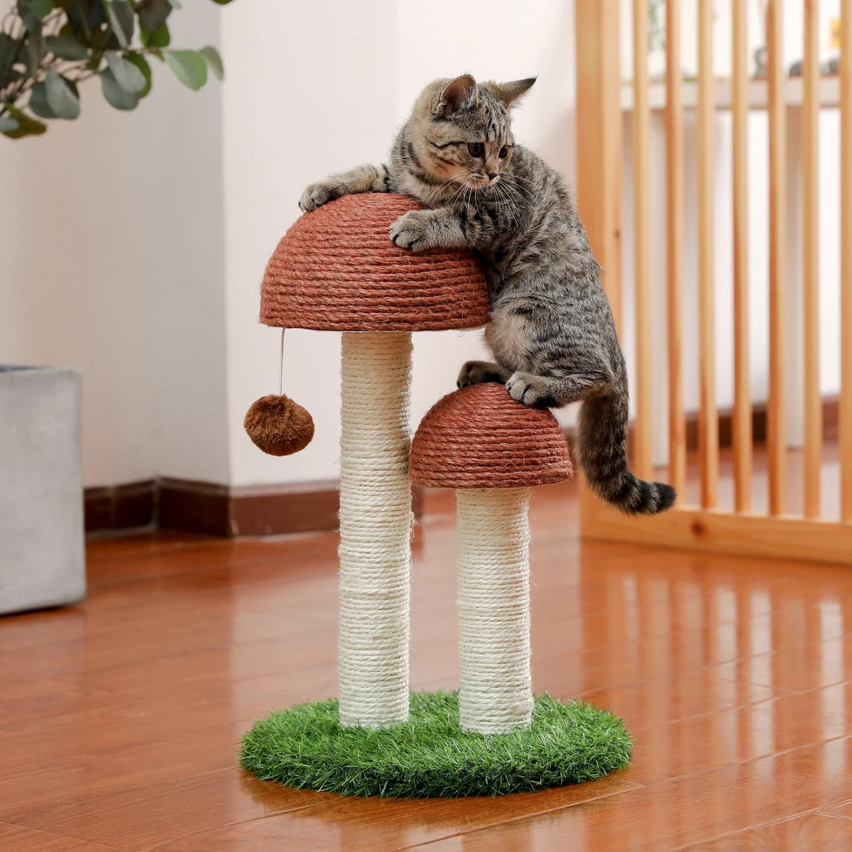 arbre à chat pour chats champignon