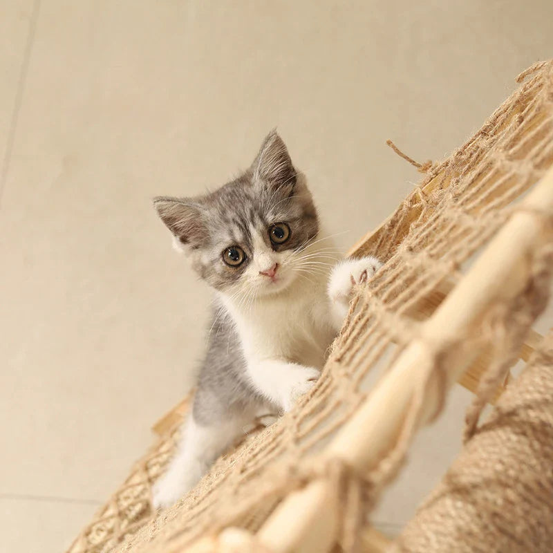 arbre à chat avec hamac pour chat