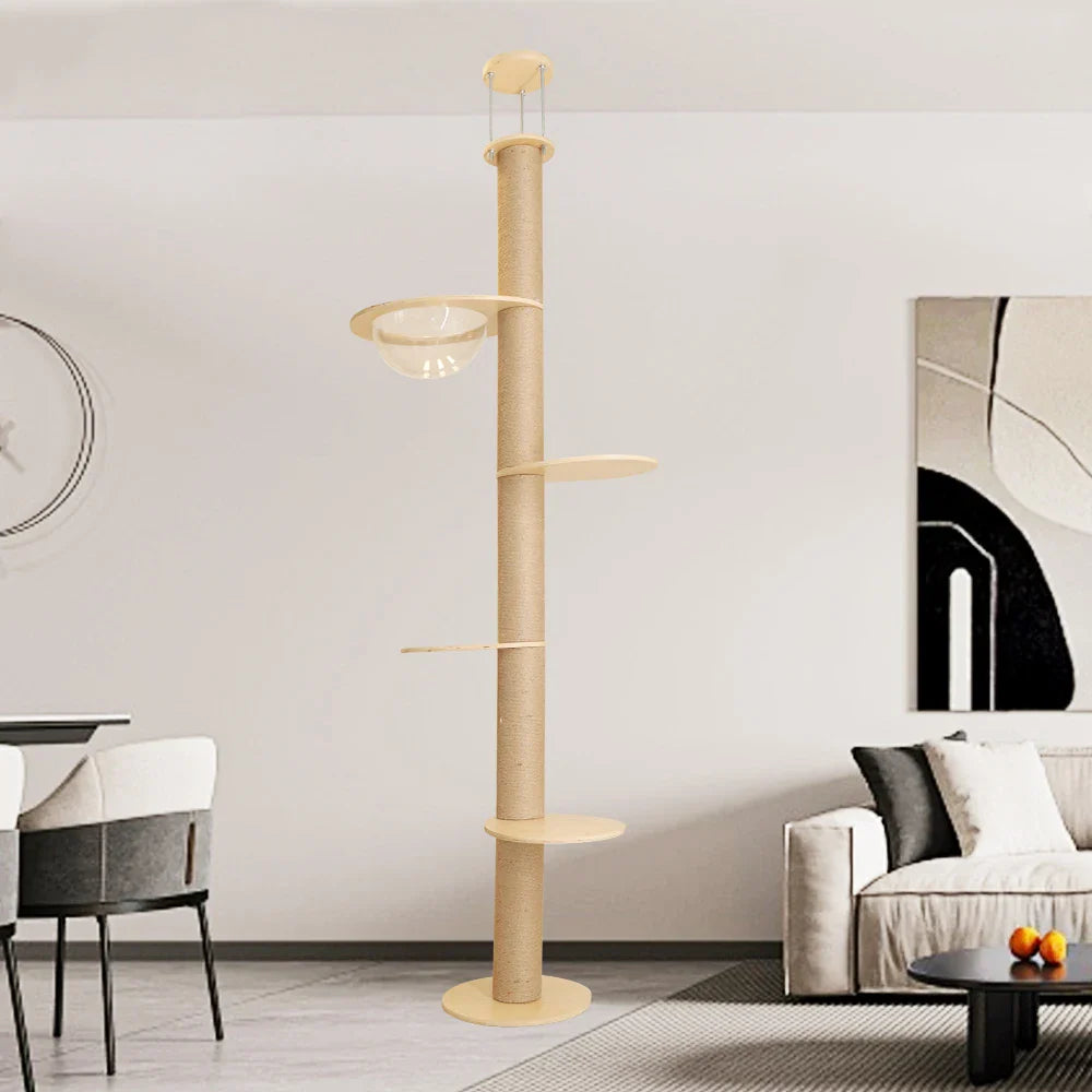 Arbre A Chat Maine Coon Du Sol Au Plafond Avec Hamac - Modèle "skyclimb"