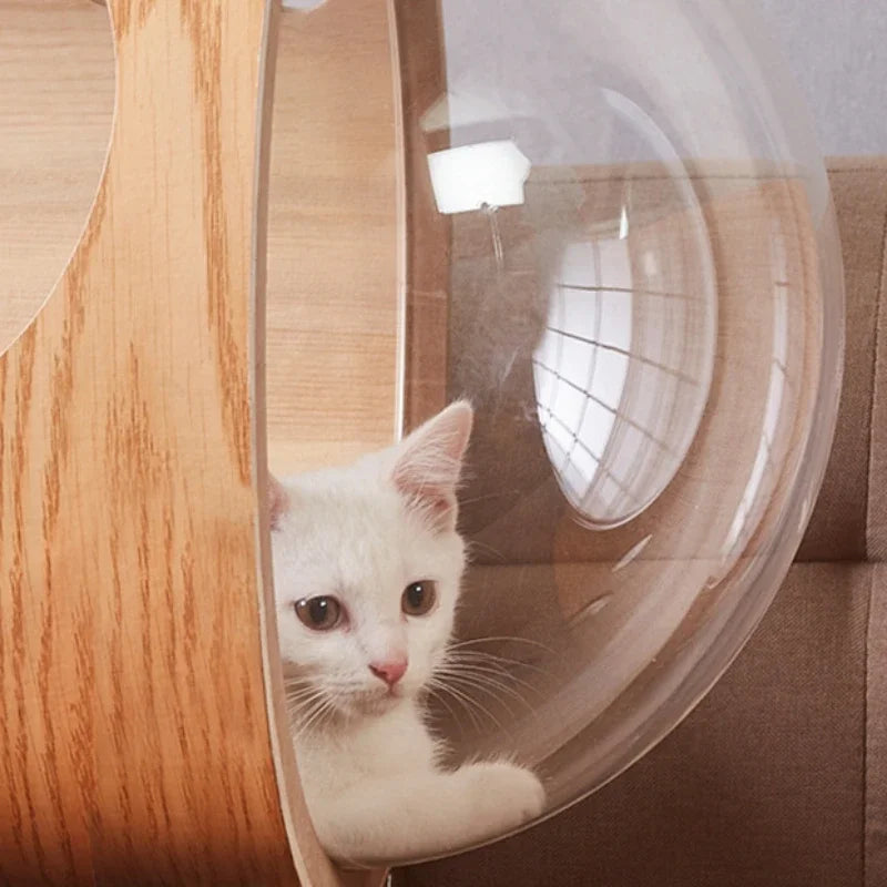 meuble arbre à chat design dôme perché